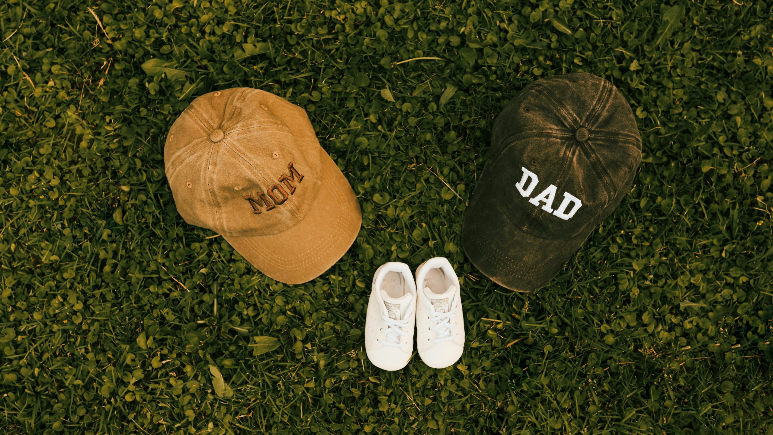 pexels-umudicreative-37313927